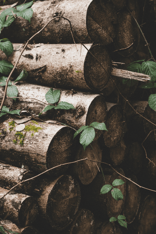 Bois de chauffage sec à Nantes et sa région